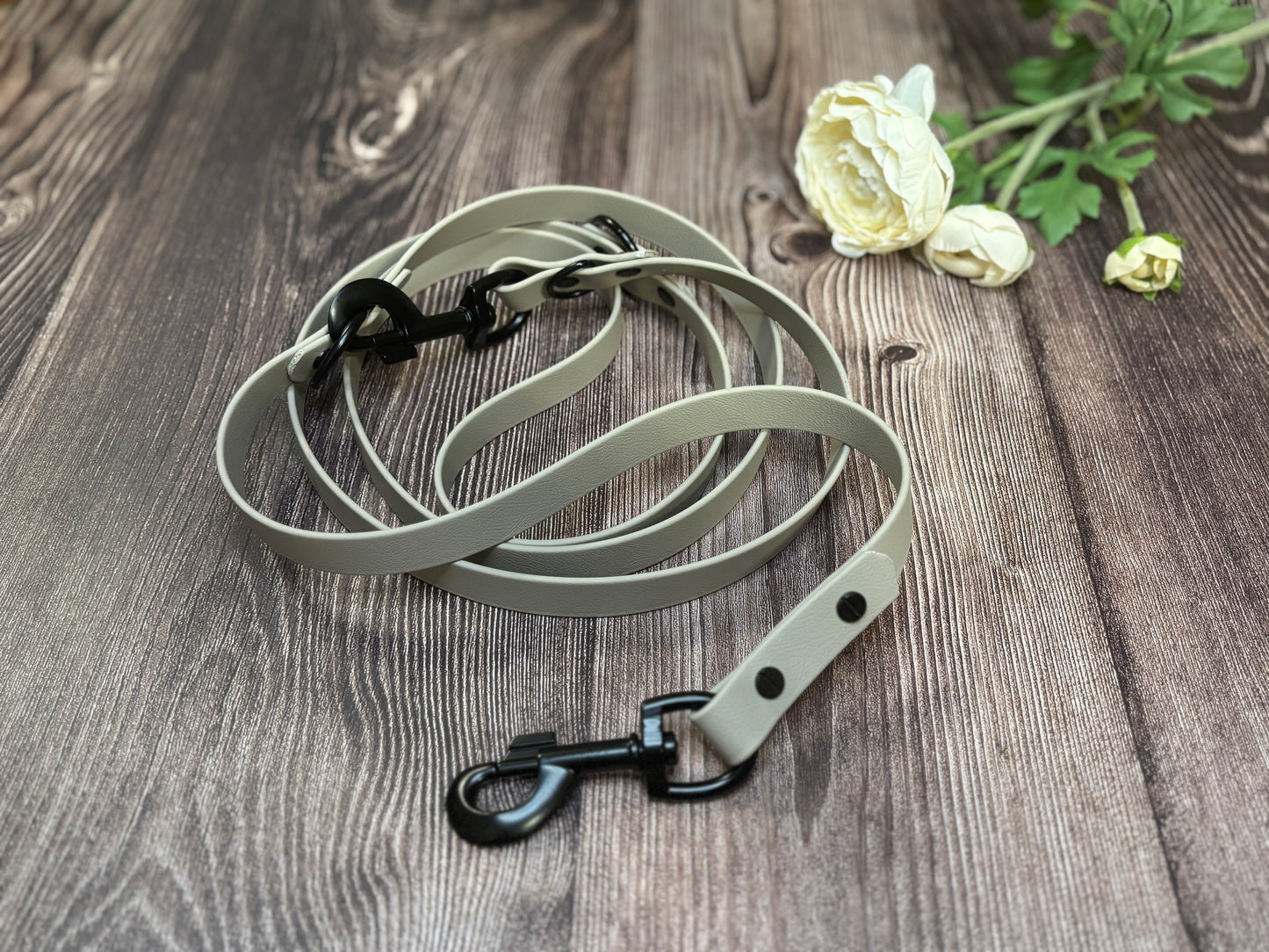 BioThane Leine Verstellbar