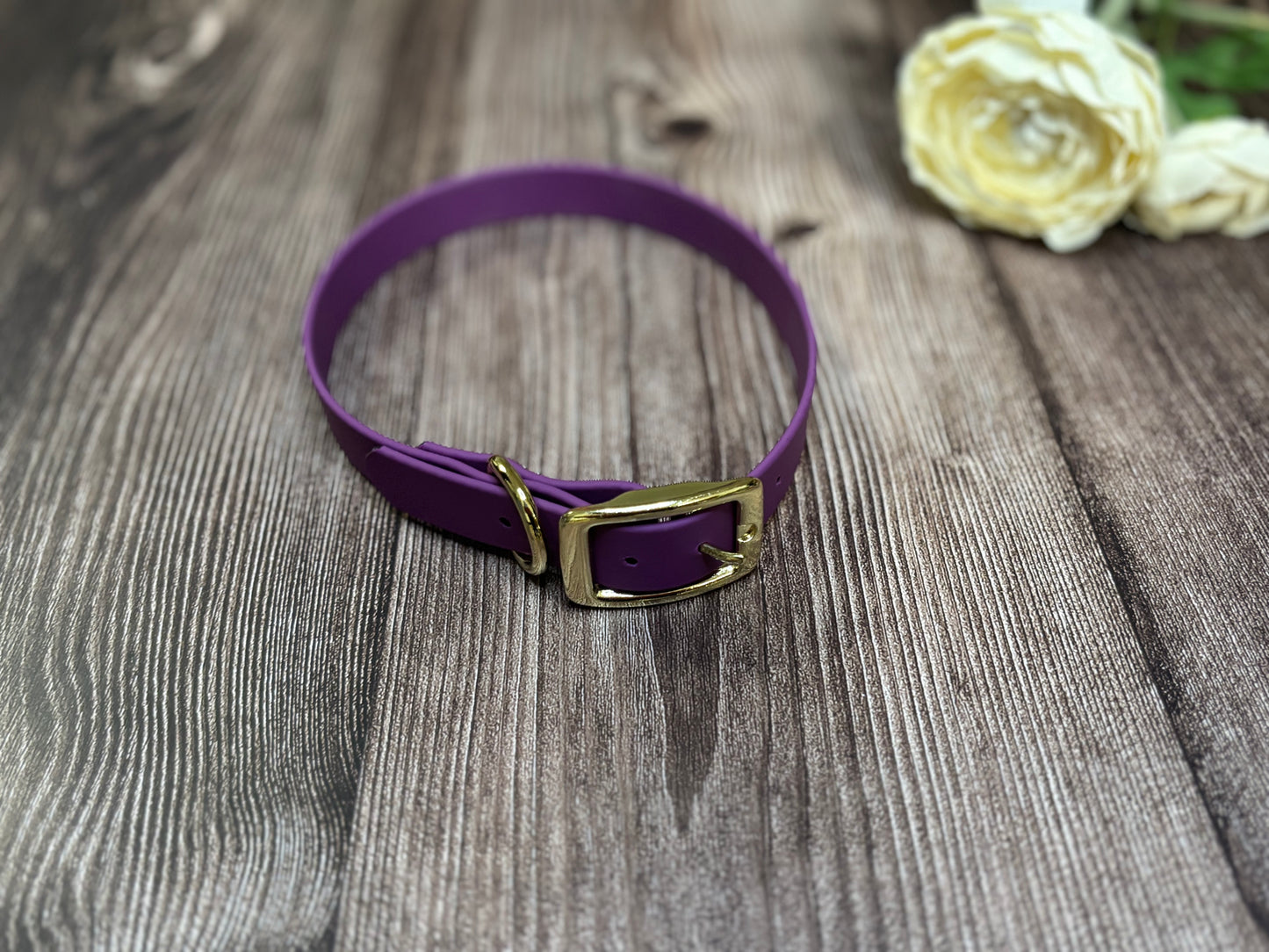 Biothane Hundehalsband Grape ca. 40cm bis 45cm Ø - Ready to buy