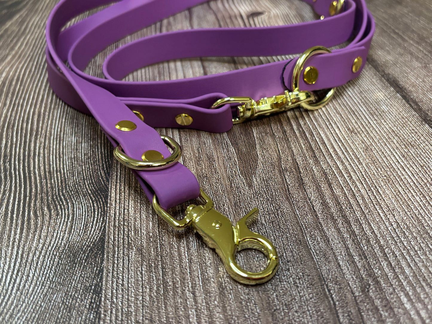 BioThane Leine Verstellbar