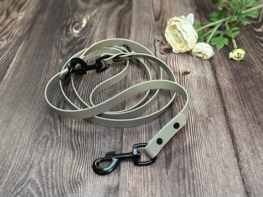 BioThane Leine Verstellbar