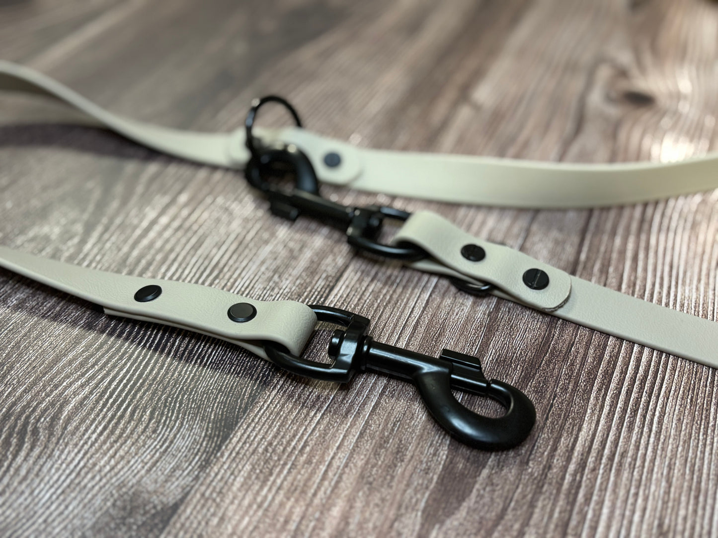 BioThane Leine Verstellbar