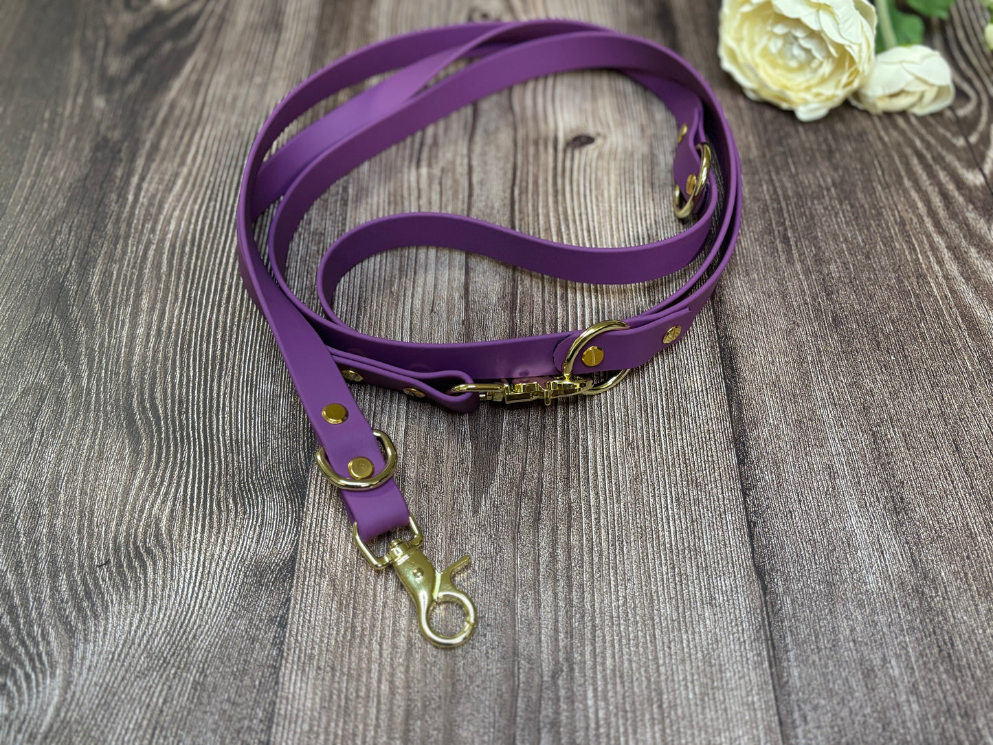 BioThane Leine Verstellbar